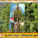 முல்லைத்தீவில் திடீரென தனியார் காணி ஒன்றில் உருவாக்கப்பட்ட பௌத்த விகாரை வடிவிலான உருவம்