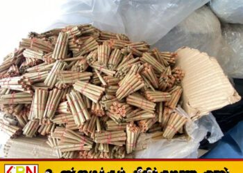 தலைமன்னார் பிரதான வீதியில் ஒரு தொகுதி பீடி இலை மற்றும் ஒரு தொகுதி பீடி கட்டுகள் மீட்பு