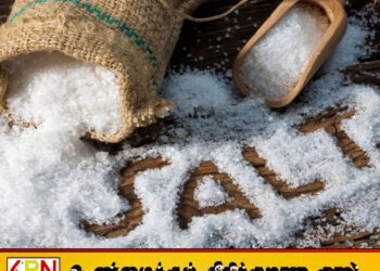 உப்பு தட்டுப்பாடுற்கு 30,000 மெட்ரிக் தொன் உப்பினை இறக்குமதி செய்ய அரசாங்கம் திட்டம்