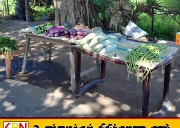மரக்கறி விற்பனை நிலையம் என்ற போர்வையில் போதைப்பொருள் விற்பனை செய்த நபர் கைது