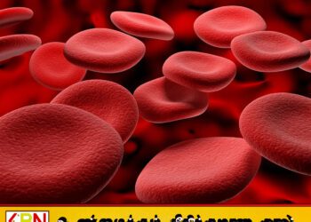 உலகில் ஒரே ஒரு பெண்ணுக்கு புதிய இரத்தவகை பிரான்ஸ் ஆய்வாளர்கள் கண்டுபிடிப்பு