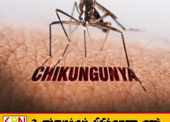 பொகவந்தலாவ பிரதேச வைத்தியசாலையில் பணிபுரியும் 06 ஊழியர்களுக்கு சிக்குன்குனியா தொற்று