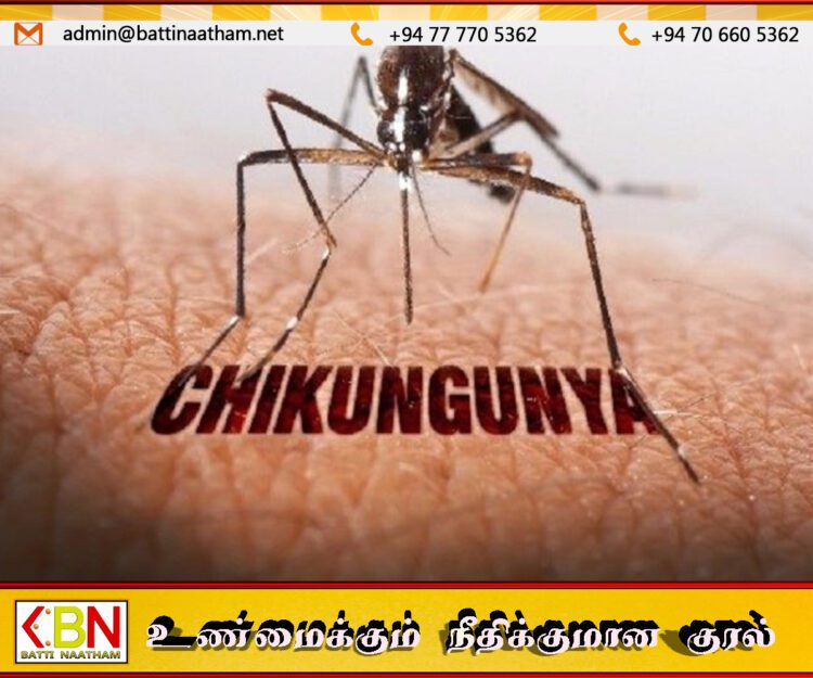 பொகவந்தலாவ பிரதேச வைத்தியசாலையில் பணிபுரியும் 06 ஊழியர்களுக்கு சிக்குன்குனியா தொற்று