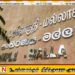 இந்தியாவிற்கு அகதியாக சென்று மீண்டும் நாடு திரும்பியவருக்கு பிணை