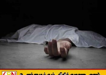 காட்டில் ஒரு காருக்குள் எரிந்த நிலையில் ஒருவரின் சடலம் மீட்பு