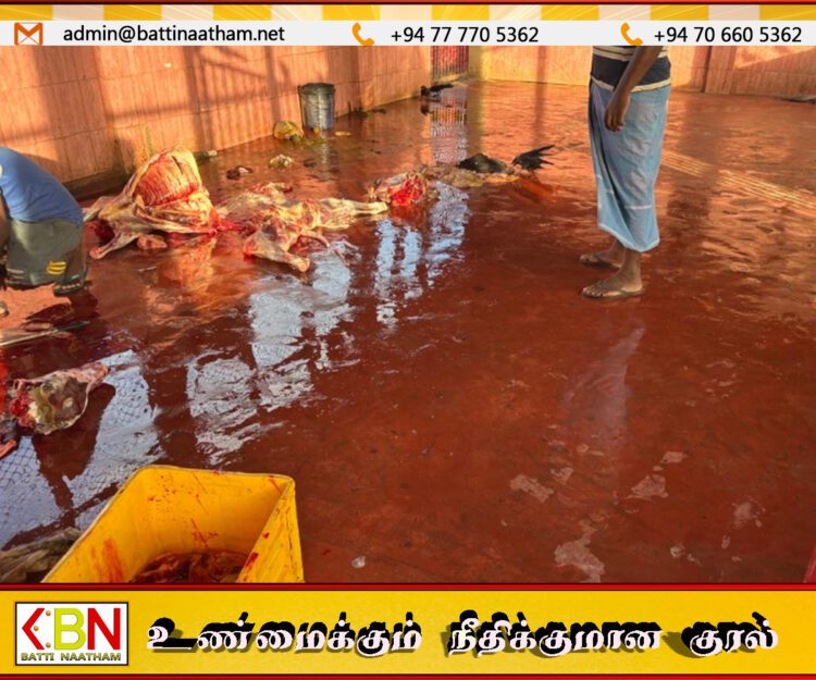 மன்னார் நகர சபை எல்லைக்குள் சுகாதார சீர்கேட்டுடன் இயங்கிய மாடுகளை அறுக்கும் கொல்களத்திற்கு சீல் வைப்பு