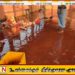 மன்னார் நகர சபை எல்லைக்குள் சுகாதார சீர்கேட்டுடன் இயங்கிய மாடுகளை அறுக்கும் கொல்களத்திற்கு சீல் வைப்பு