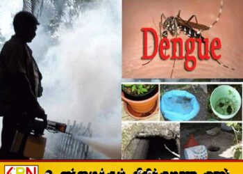 16 மாவட்டங்களில் டெங்கு ஒழிப்பு வாரம் நடைமுறைப்படுத்தப்படும் என்று தேசிய டெங்கு ஒழிப்பு பிரிவு தெரிவிப்பு