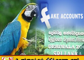 தெஹிவளை மிருகக்காட்சிசாலை பெயரில் போலி சமூக ஊடக கணக்கு; சிஐடியில் முறைப்பாடு