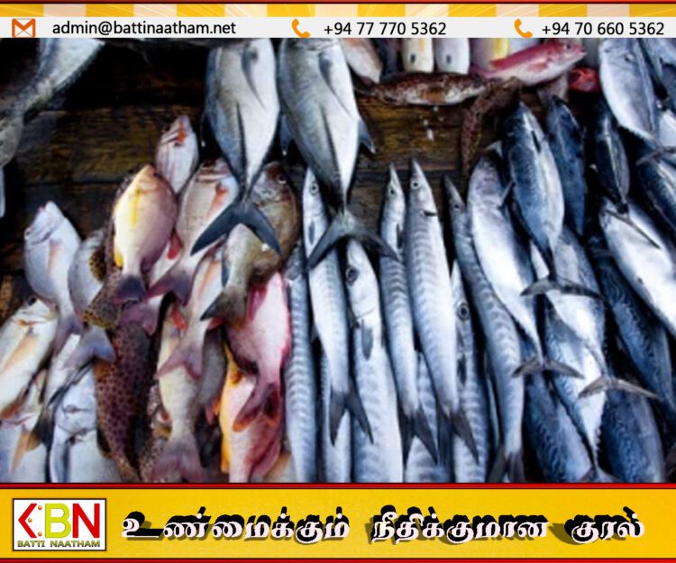 மே மாதம் முதல் நாட்டில் மீன்களின் விலை அதிகரிப்பு
