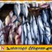 மே மாதம் முதல் நாட்டில் மீன்களின் விலை அதிகரிப்பு