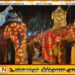 பதுளையில் பெரஹெராவில் யானை குழப்பமடைந்ததால் பொதுமக்கள் மத்தியில் பதற்றம்