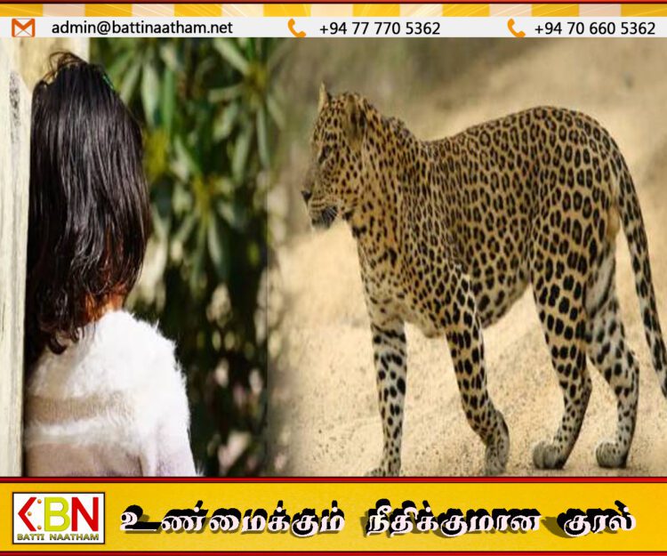 வீட்டின் வெளியே நின்ற 6 வயது சிறுமியை கவ்வி சென்ற சிறுத்தை