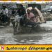 பாகிஸ்தானில் பெய்த கனமழை காரணமாக இதுவரை 45 பேர் உயிரிழப்பு