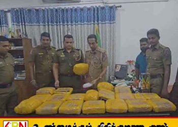 வத்தளையில் உள்ள ஒரு வீட்டில் மறைத்து வைக்கப்பட்டிருந்த 39 கிலோ கேரள கஞ்சா மீட்பு