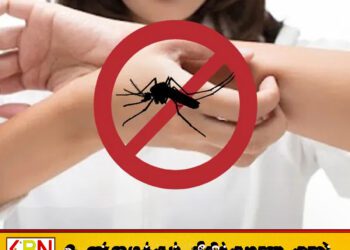 டெங்கு ஒழிப்பு நடவடிக்கைகள் குறித்த கல்வி அமைச்சின் தீர்மானத்திற்கு அதிபர்கள் எதிர்ப்பு