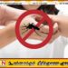 டெங்கு ஒழிப்பு நடவடிக்கைகள் குறித்த கல்வி அமைச்சின் தீர்மானத்திற்கு அதிபர்கள் எதிர்ப்பு