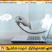 சவூதி அரேபியாவில் 24 மணி நேர டிஜிட்டல் மருத்துவ சேவை அறிமுகம்
