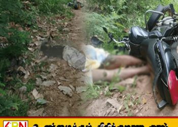 மித்தெனிய தொரகொலயா பகுதியில் துப்பாக்கிச்சூடு சம்பவத்தில் இரு இளைஞர்கள் பலி