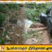 மித்தெனிய தொரகொலயா பகுதியில் துப்பாக்கிச்சூடு சம்பவத்தில் இரு இளைஞர்கள் பலி