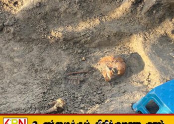 செம்மணி மனிதப் புதைகுழியில் இதுவரை 5 மனித எலும்புக்கூடுகள் அடையாளம்