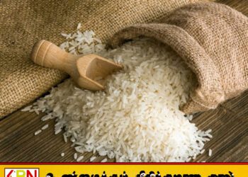 எதிர்வரும் காலங்களில் அரிசியை இறக்குமதி செய்வதற்கான நிலை ஏற்படும்; பல்கலைக்கழக பேராசிரியர்