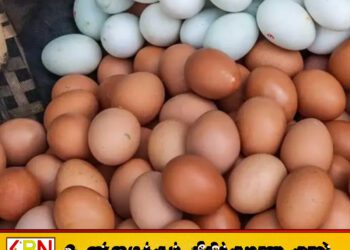 முட்டை விலைகள் குறித்து பொதுமக்களுக்குத் தெரிவிக்க முட்டை உற்பத்தியாளர்கள் சங்கம் தீர்மானம்