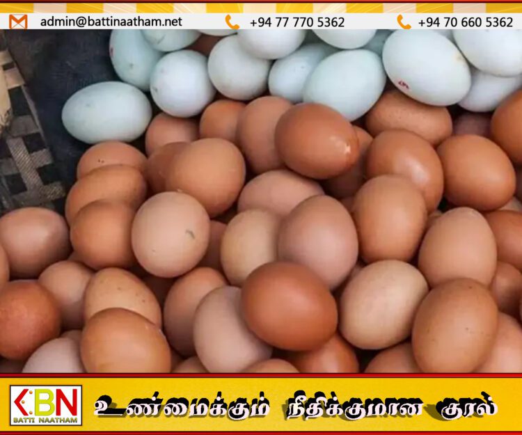 முட்டை விலைகள் குறித்து பொதுமக்களுக்குத் தெரிவிக்க முட்டை உற்பத்தியாளர்கள் சங்கம் தீர்மானம்