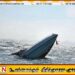 மாத்தறை மற்றும் களுத்துறை படகு விபத்தில் ஆறு மீனவர்கள் மாயம்