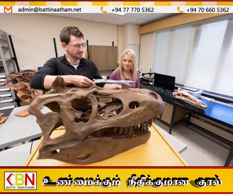 மங்கோலிய நாட்டின் அருங்காட்சியகத்தில் டைனோசர்களின் புதிய இனத்தை கண்டுபிடித்துள்ள விஞ்ஞானிகள்