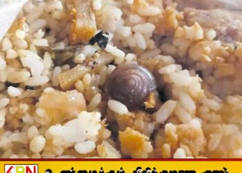 வைத்தியசாலை உணவக சாப்பாட்டில் நத்தை – நோயாளிக்கு ஒவ்வாமை ஏற்பட்டு பரபரப்பு