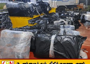 கற்பிட்டியில் 1.1 மில்லியன் மதிப்புள்ள சட்டவிரோத 37 பீடி இலை பொதிகள் மீட்பு