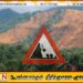 நாட்டின் சில பகுதிகளுக்கு இரண்டாம் நிலை மண்சரிவு அபாய எச்சரிக்கை; 353 பேர் பாதிப்பு