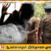 முன்னாள் ஆயுர்வேத ஆணையாளர் மீது அசிட் வீச்சு தாக்குதல்; இரண்டு பேருக்கு 30 ஆண்டு கடூழிய சிறைத்தண்டனை