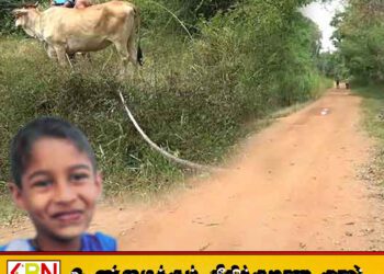 பசுவின் கழுத்தில் கட்டப்பட்டிருந்த கயிற்றில் சிக்கி 9 வயது சிறுவன் உயிரிழப்பு
