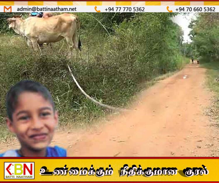 பசுவின் கழுத்தில் கட்டப்பட்டிருந்த கயிற்றில் சிக்கி 9 வயது சிறுவன் உயிரிழப்பு