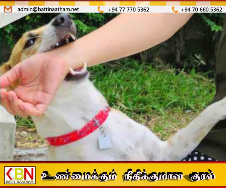 நாய் கடித்த பெண்ணுக்கு 40 ஆயிரம் ரூபா அபராதம் செலுத்திய உரிமையாளர்; மட்டக்களப்பில் சம்பவம்