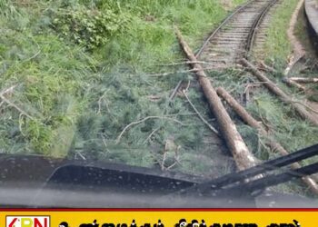 ரயில் பாதையில் மரங்கள் விழுந்துள்ளதால் மலையக ரயில் சேவை பாதிப்பு