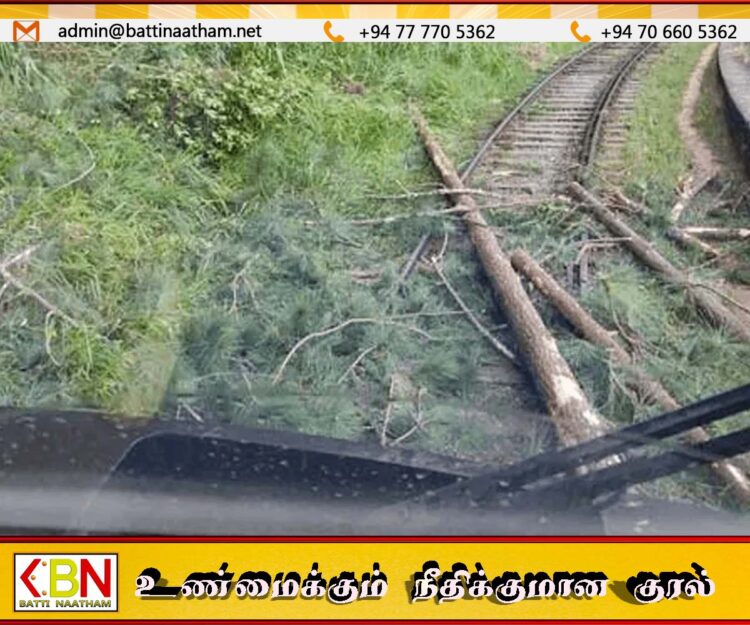 ரயில் பாதையில் மரங்கள் விழுந்துள்ளதால் மலையக ரயில் சேவை பாதிப்பு