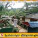 பாடசாலையில் மரம் முறிந்து வீழ்ந்து உயிரிழந்த மாணவனின் குடும்பத்திற்கு 10 இலட்சம் நட்டஈடு