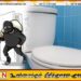 வெல்லவாய பொலிஸ் பிரிவில் கழிப்பறை கொமட்டை திருடியவர் கைது