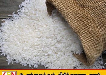 40,000 மெற்றிக் தொன் கீரி சம்பா அரிசியை இறக்குமதி செய்ய நடவடிக்கை