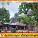 முல்லைத்தீவு மாவட்ட வைத்தியசாலைக்கு முன்னாலுள்ள கடைத்தொகுதியில் இன்று காலை தீ பரவல்