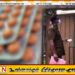 போதை மாத்திரைகளுடன் பொதுச் சுகாதாரப் பரிசோதகர் கைது