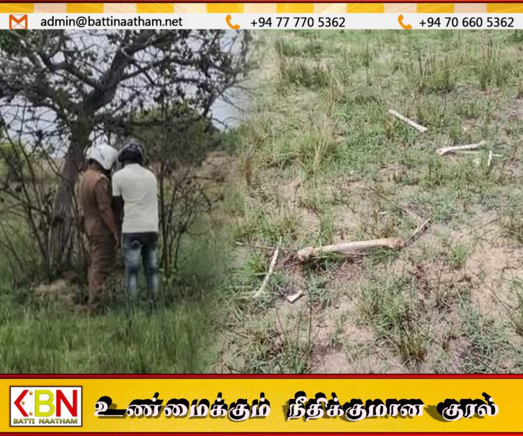பருத்தித்துறை இராணுவ முகாமிற்கு அருகில் மனித எலும்புக்கூடு மீட்பு