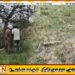 பருத்தித்துறை இராணுவ முகாமிற்கு அருகில் மனித எலும்புக்கூடு மீட்பு