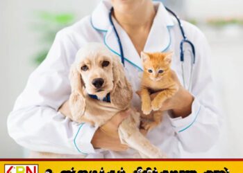 24 மணி நேர அடையாள வேலைநிறுத்தத்தை முன்னெடுக்கவுள்ள கால்நடை வைத்தியர்கள் சங்கம்