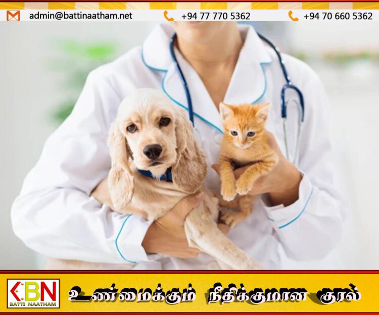24 மணி நேர அடையாள வேலைநிறுத்தத்தை முன்னெடுக்கவுள்ள கால்நடை வைத்தியர்கள் சங்கம்