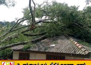 பாடசாலை மீது மரம் முறிந்து விழுந்ததில் மாணவன் உயிரிழப்பு