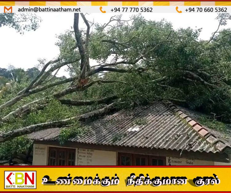 பாடசாலை மீது மரம் முறிந்து விழுந்ததில் மாணவன் உயிரிழப்பு